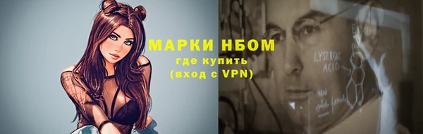 крисы Бородино