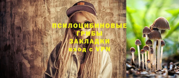 стафф Верея