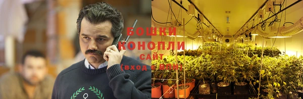 тгк Бронницы