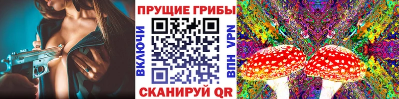 сайты даркнета как зайти  как найти закладки  blacksprut   Дубовка  Галлюциногенные грибы Cubensis 